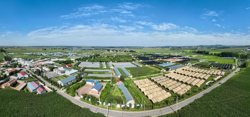 長春市現代菌物產業科技成果轉化示范基地揭牌，首屆中國（長春）靈芝孢子粉采收節盛大啟幕